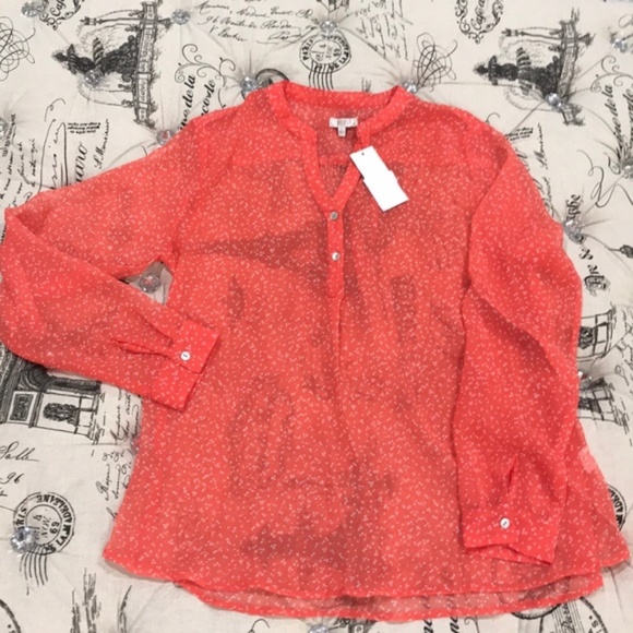 Casual Studio Sheer Polka Blouse - Picture 3 of 6